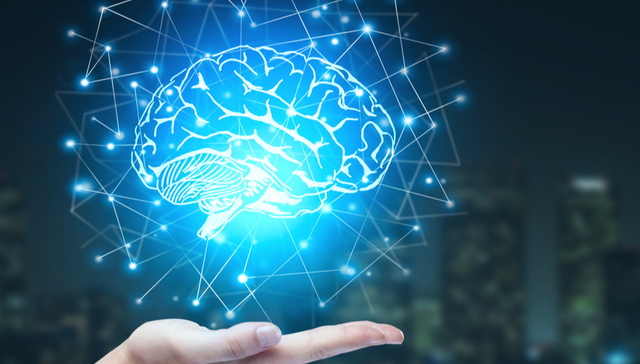 易方达中证软件服务ETF,软件30,计算机,易方达中证软件服务交易型开放式指数证券投资基金,5629