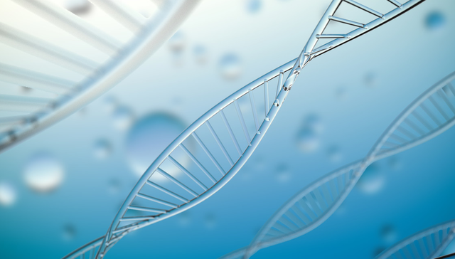 嘉实中证港股通创新药ETF,港股通药,创新药,嘉实中证港股通创新药交易型开放式指数证券投资基金,52;脑机接口;小核酸;创新药;港股通创新药ETF嘉实(520970);产业发展机会