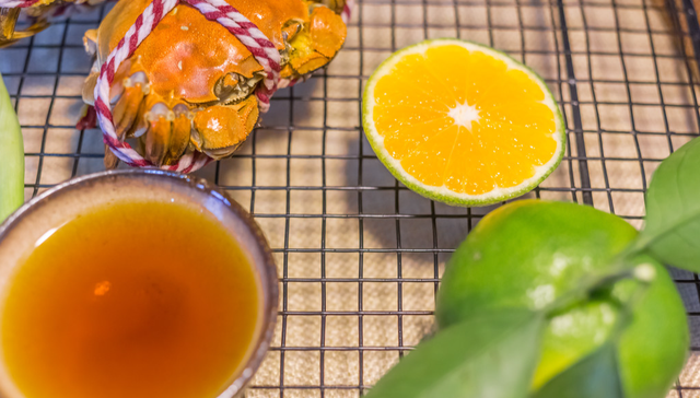 华夏中证港股通消费主题ETF,H股消费,消费,华夏中证港股通消费主题交易型开放式指数证券投资基金,5;政策发力;春节消费;港股通消费ETF华夏;港股消费核心资产;超预期复苏