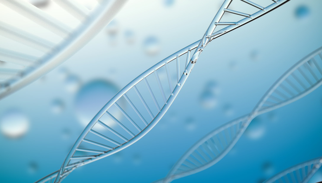 AI赋能;药品监管新政;科创医药ETF华夏(588130);配置价值