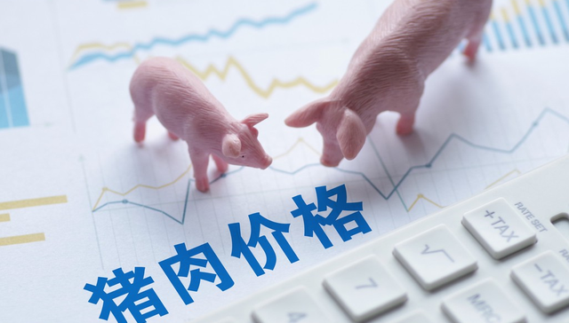 汇添富中证畜牧养殖产业ETF,养殖基金,农林牧渔,汇添富中证畜牧养殖产业交易型开放式指数证券投资基金;猪价创10年新低;生猪养殖底部;养殖ETF汇添富(159172);探底回升收平;机构;二次探底;产能去化主战场