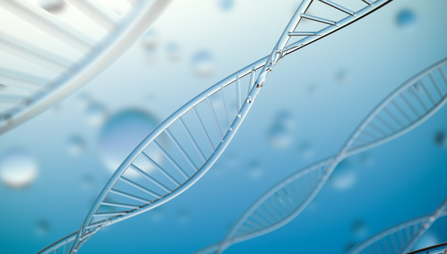 招商中证生物科技主题ETF,生物科技ETF招商,医药,招商中证生物科技主题交易型开放式指数证券投资基;WCLC;国产创新药;生物科技;疫苗;创新药;拉升