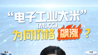 “电子工业大米”（MLCC）为何价格飙涨？