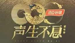 2024将是大音综复兴之年？