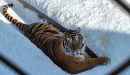 旅游业翻身，不仅在哈尔滨