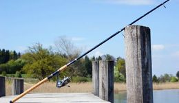 “无聊直播”，来自陌生人的解药