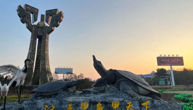 汉寿,甲鱼,水产行业,产业升级,