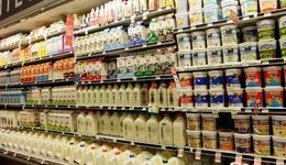 2024年“貴族”酸奶集體“跳水”，怎么破局？