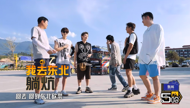 综艺,情绪价值,真人秀,