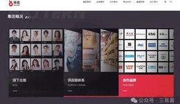 掌门人萌生退意后，辛选盯上了切片分销