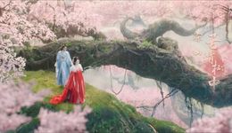 漫改剧赛道分野：男频燃系、女频唯美