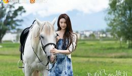 生活節(jié)奏不斷加快，為何電視劇卻在不斷變“慢”？