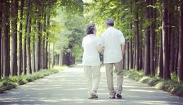 瞄准9000万单身中老年，银发婚恋节目扎堆走红，解析爆款IP的流量密码