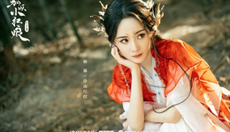 罵楊冪，看來真的是一門生意