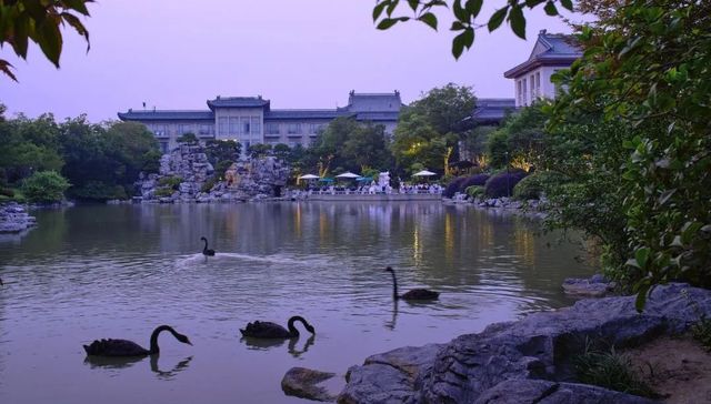 国宾馆,年轻人,竞争压力,旅游,