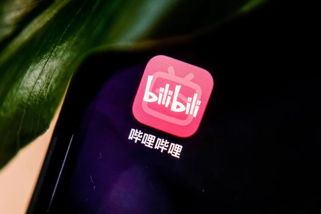 B站盈利了,但市场的担忧不止一点点-锋巢网