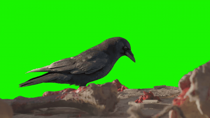 百亿《熊出没》背后:AI如何放大IP的长期价值?-锋巢网