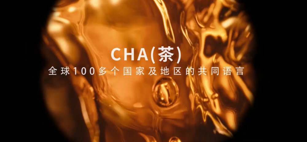 餐饮界 餐饮新媒体