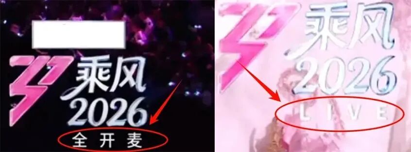 姐姐们该上岸了，《乘风》却还在原地“造浪”-锋巢网