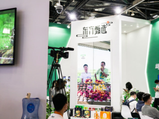 东方甄选入局视频号带货，直播首秀中规中矩