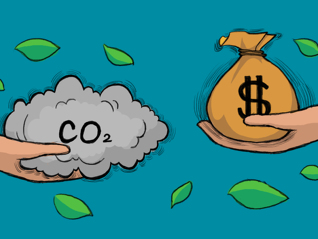 超600亿！德国砸钱加码风电，购车补贴向中国品牌敞开大门