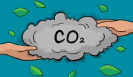 全国碳市场收紧配额规模，新增“借碳”政策为企业减负