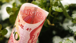 年化收益率逼近1%、“宝宝货基”规模反增，监管发文反“内卷”