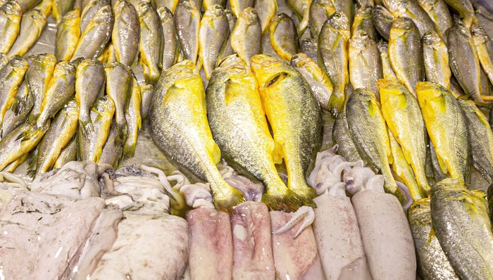 促进水产高效养殖，深圳推出渔业技术补贴措施，最高3000万元