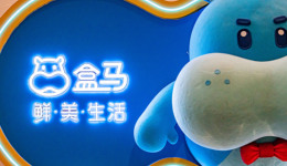 会员店谢幕，补贴战上膛：盒马新十年演绎阿里即时零售战略