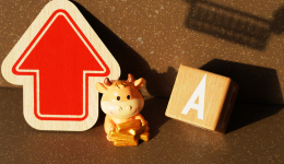 牛回速归？沪指和恒生科技双双大涨，基金这样看后市