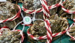 大闸蟹不止阳澄湖