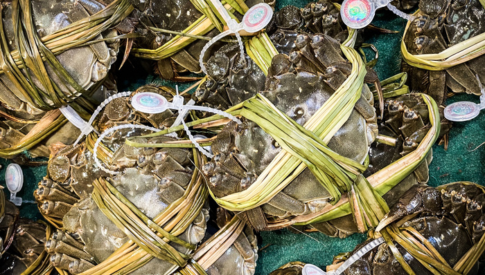 大闸蟹;跌价;挤压;生意链;产业链;养殖户;经销商;餐饮;价格;市场;影响;经济
