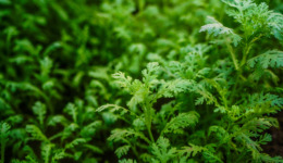 環(huán)境部應(yīng)對氣候變化司換帥，新司長環(huán)境談判出身