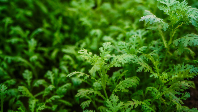 环境部应对气候变化司换帅，新司长环境谈判出身