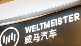 沈晖“抢救”威马