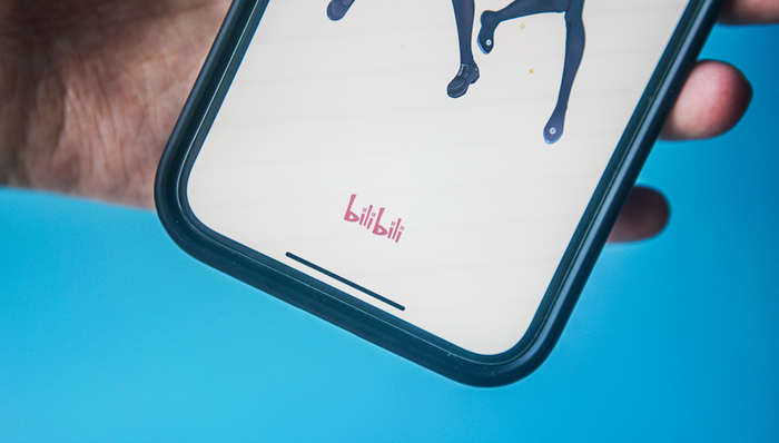 双11“新选手”B站：开了不错的头，但商业化挑战还很大
