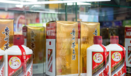 275億特別分紅！貴州茅臺大手筆“救市”， 股價盤中漲超5%