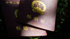 “跨省通办”一周年效果显著，多省“520”结婚登记创新高