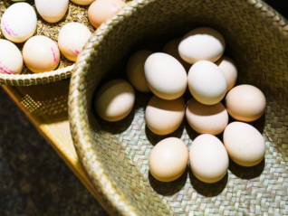 鸡蛋变“金蛋”影响了谁？
