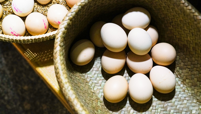 蛋液供应商欧福蛋业闯关北交所，净利润下滑53%引争议