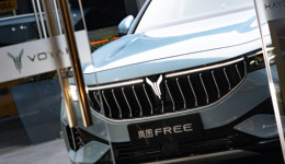 銷量不佳陷入裁員風(fēng)波，東風(fēng)嵐圖補(bǔ)貼降價(jià)挽救頹勢