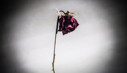 绝望的“榜一大嫂”