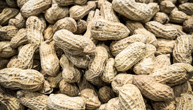 旺季在即，节日里不可或缺的花生为什么价格却跌了？