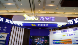 投资者问齐向东：“奇安信经营质量如此之差，你让我们情何以堪？”