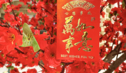 2023年的春节，互联网厂商似乎不爱发红包了