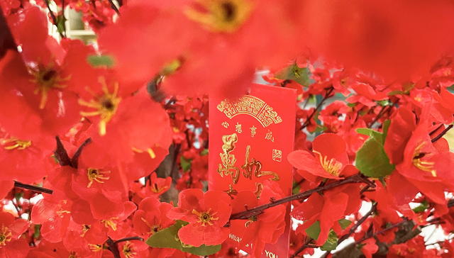 公募基金一年派发2267亿元“红包”，易方达蝉联“分红王”