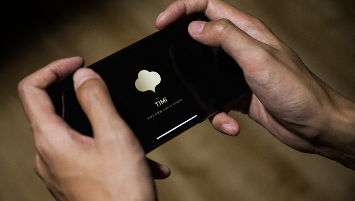 向僵尸开炮,无尽冬日