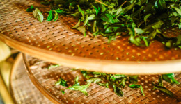 500亿福建富豪圈，跑出来一个“香港茶王”