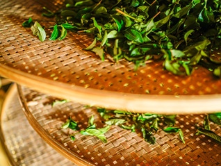 “茶叶第一股”纷争再起，中国茶叶、澜沧古茶、八马茶业三方角逐