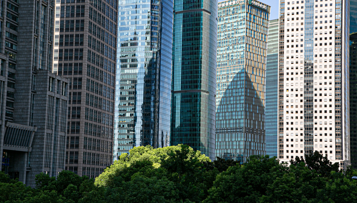 上海，总部，经济，跨国，企业